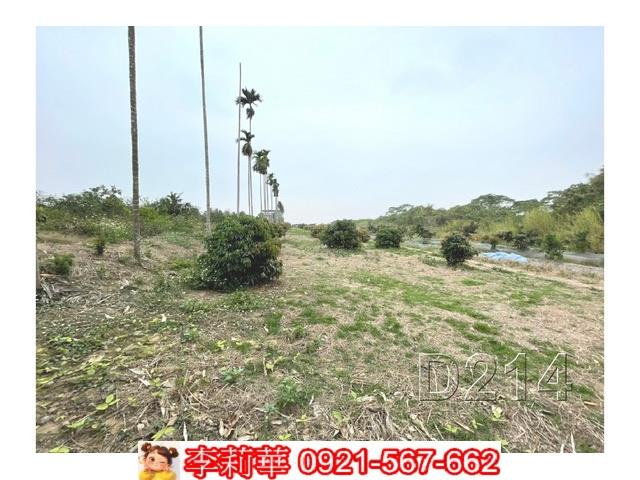 台南東山農地-10