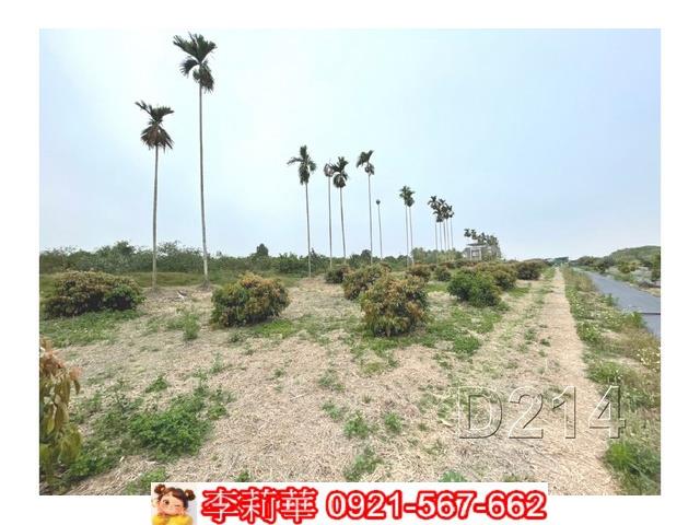 台南東山農地-11