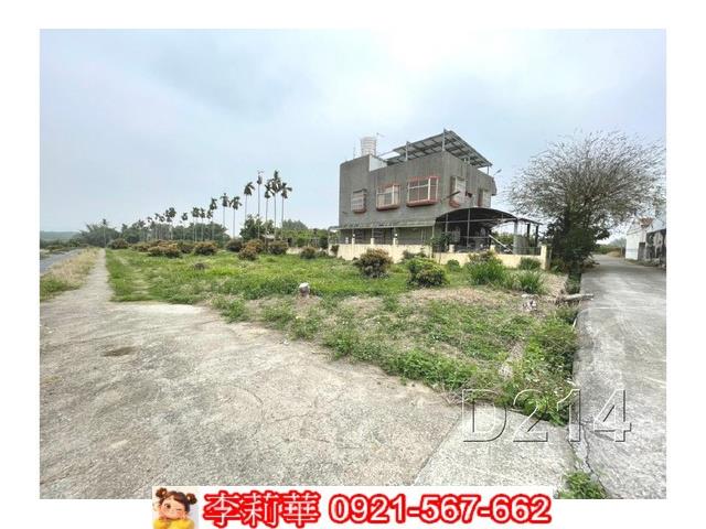 台南東山農地-3