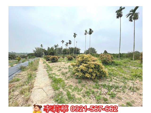 台南東山農地-7