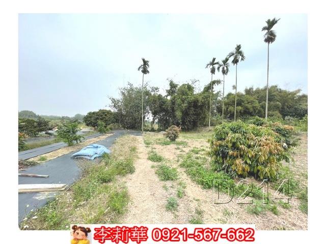 台南東山農地-8