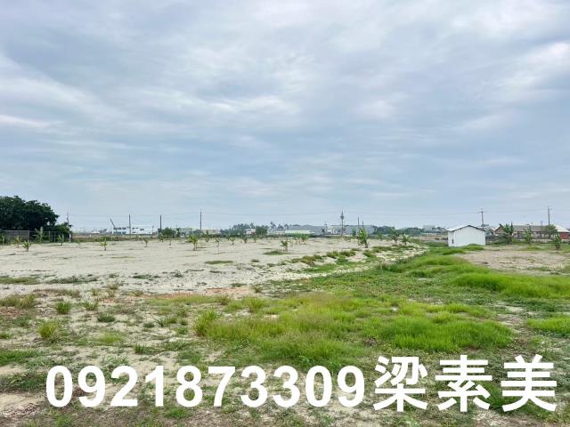 台南農地-13