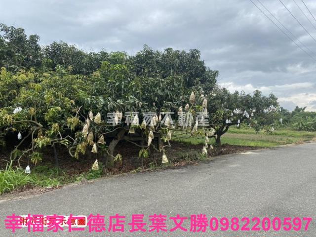 台南農地-8