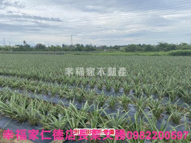 台南農地-7