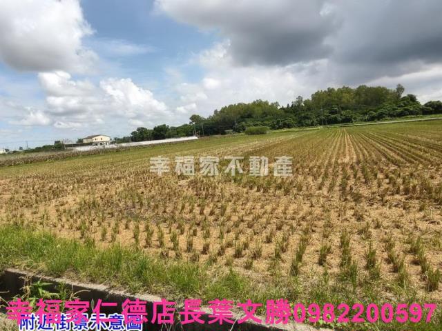 台南農地-4