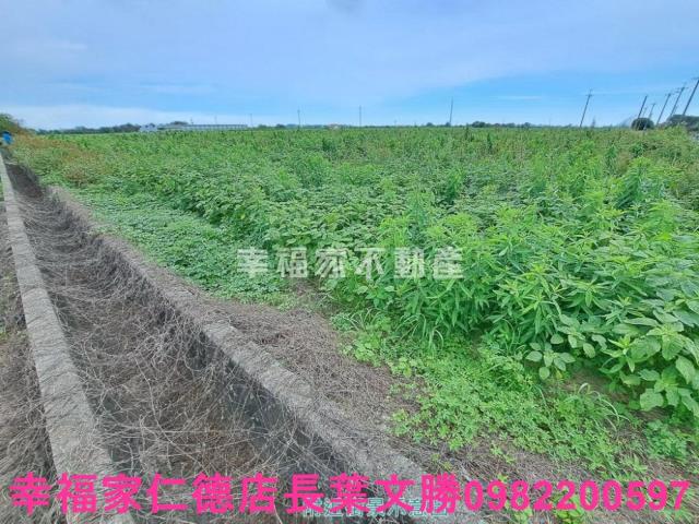 台南農地-14