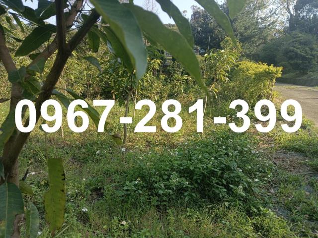 140線道葡萄園農牧用地