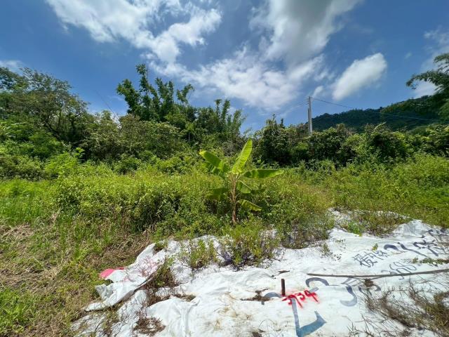 高雄內門農地-9