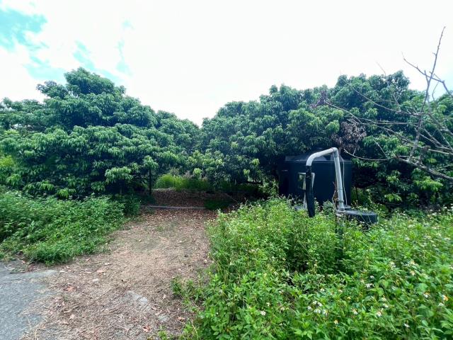 高雄內門農地-10