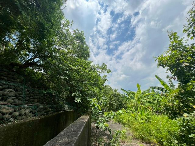 高雄內門農地-1