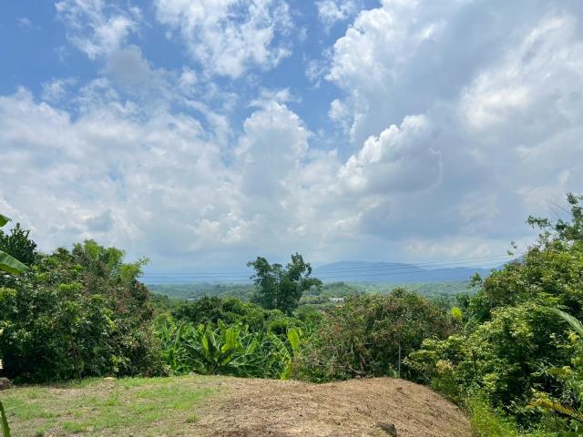 高雄內門農地-5