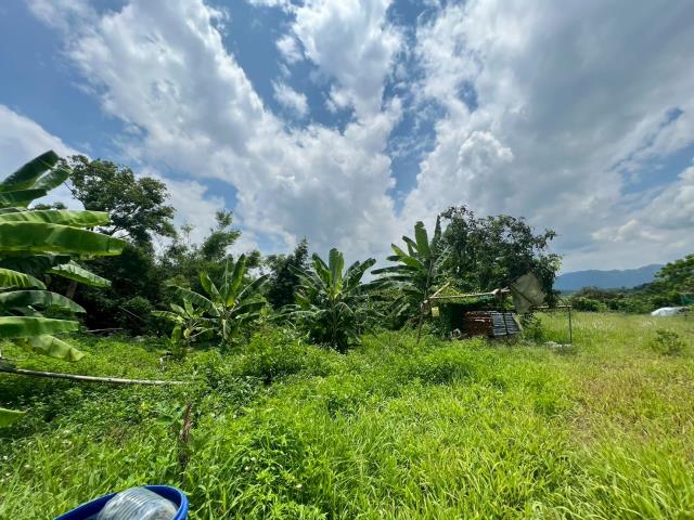 高雄內門農地-7