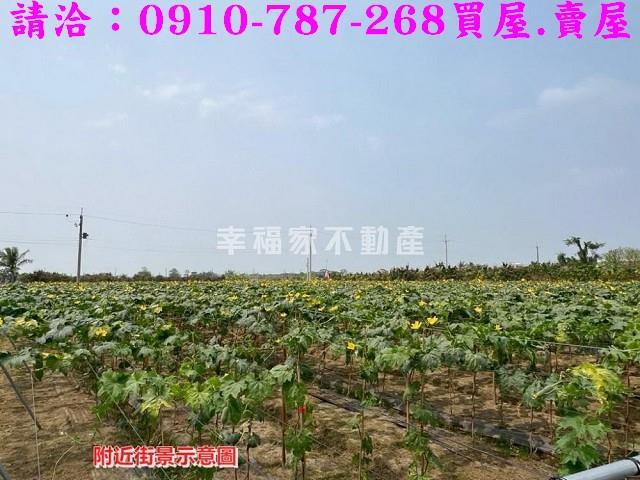 台南農地-3