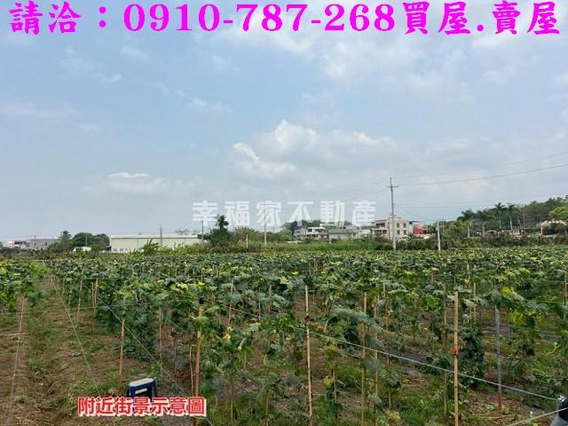 台南農地-4