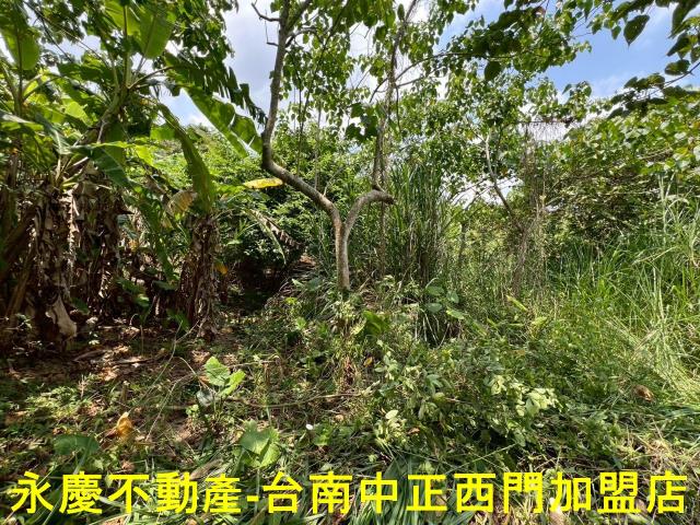 台南東山農地-12