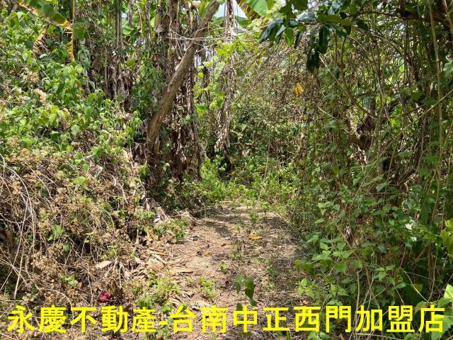 台南東山農地-8