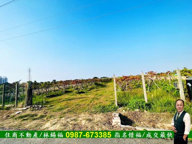 台南佳里農地-5
