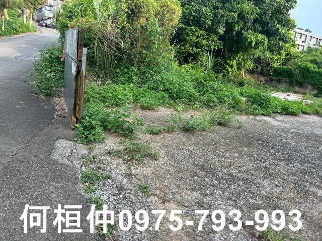 苗栗銅鑼農地-3