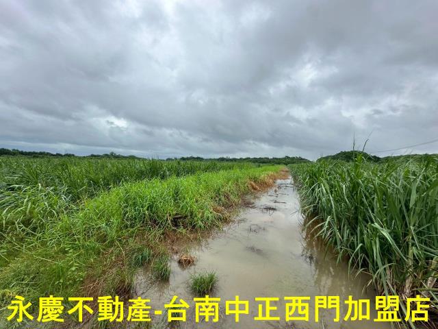 山上農地-10