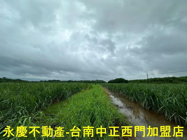 山上農地-2