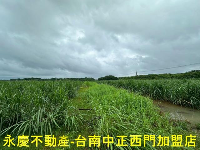 山上農地-6