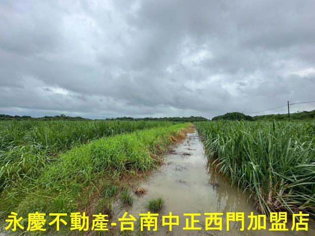 山上農地-7