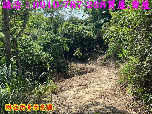 台南白河農地-13