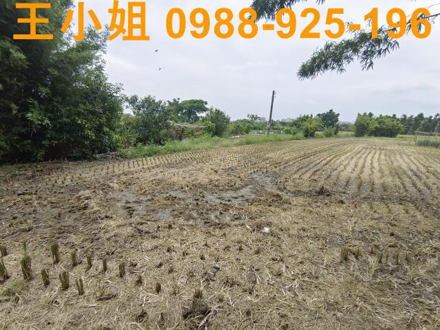 大溪大鶯路中庄農地出售