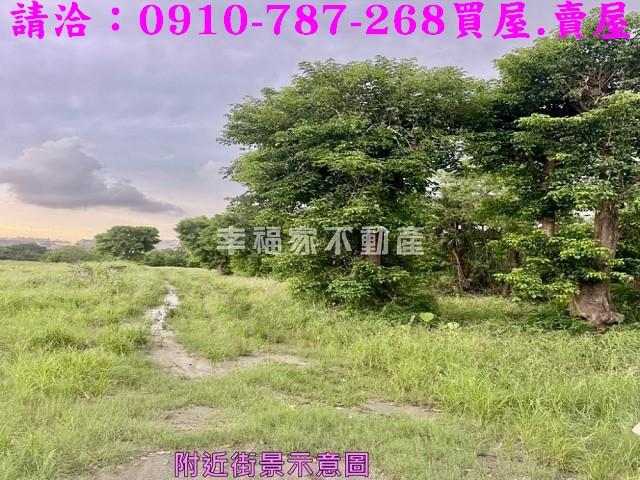 台南新市農地-3