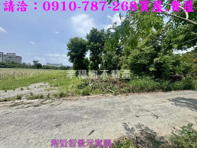 台南新市農地-6