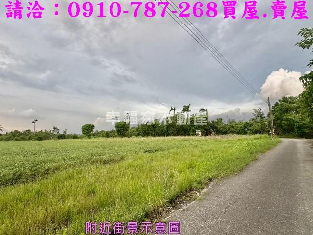 台南新市農地-7