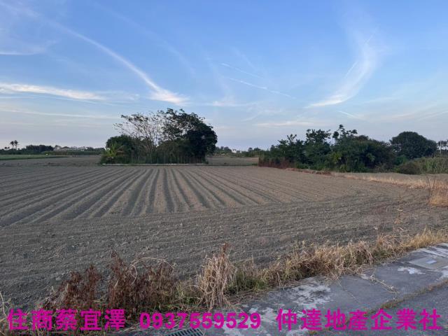 西港農地-5