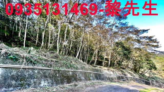 新竹橫山農地-6