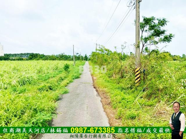 台南安定農地-4