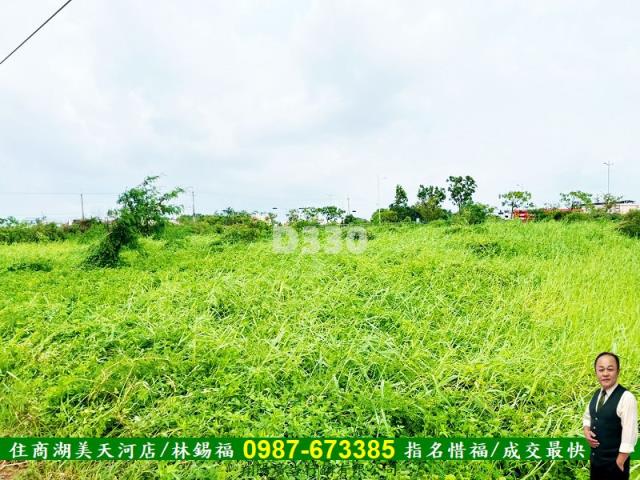 台南安定農地-5