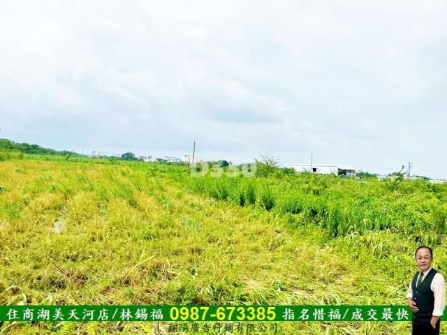 台南安定農地-6