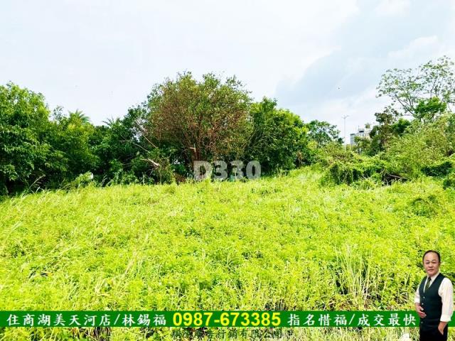 台南安定農地-7