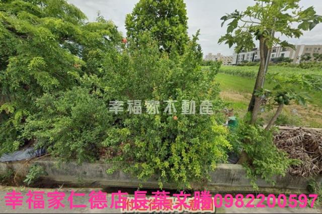 善化農地-14