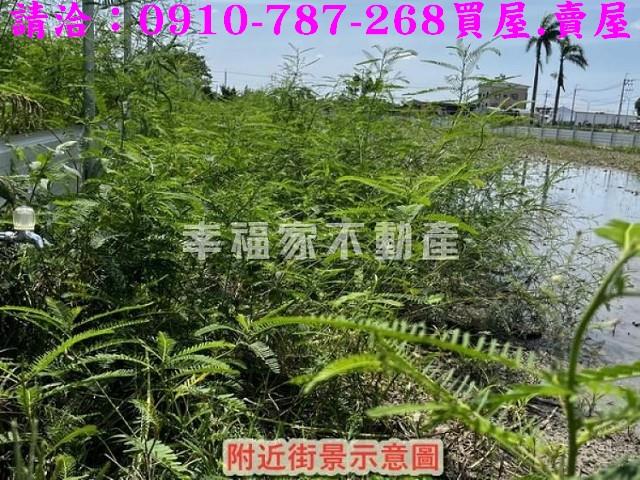 台南安定農地-6