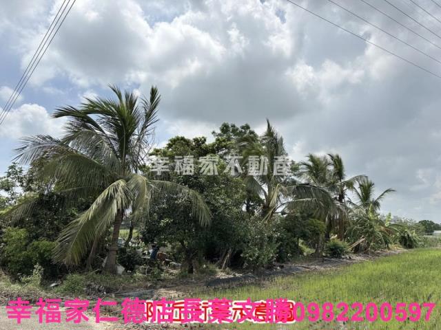 善化農地-2