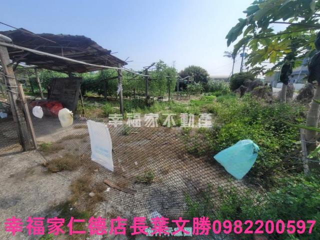 台南仁德農地-0