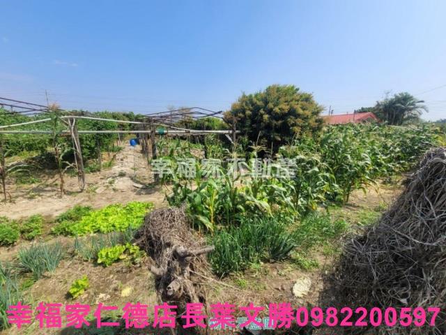 台南仁德農地-6