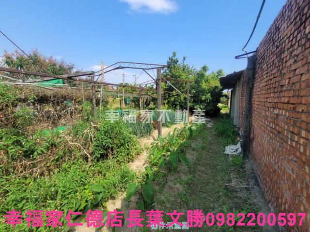 台南仁德農地-13