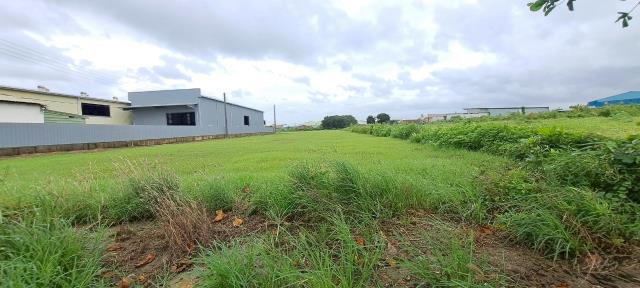 高雄彌陀農地-0