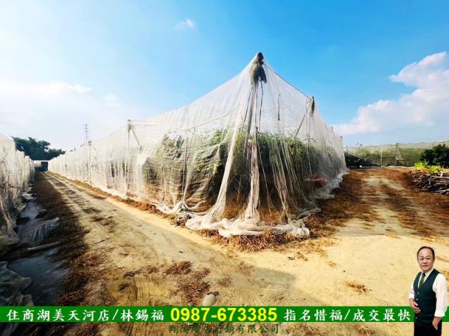 台南玉井農地-1