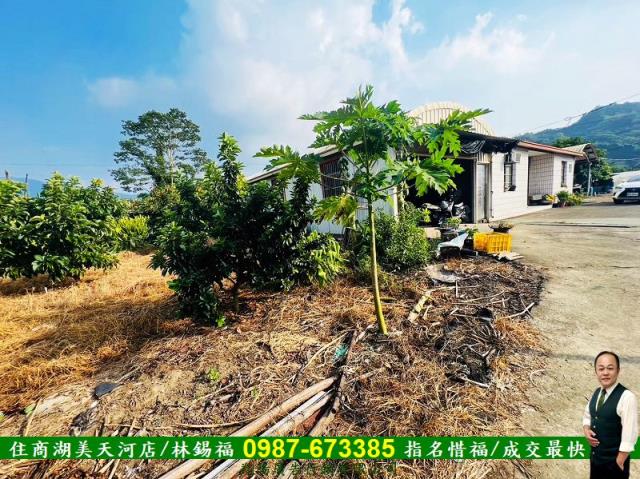 台南玉井農地-4