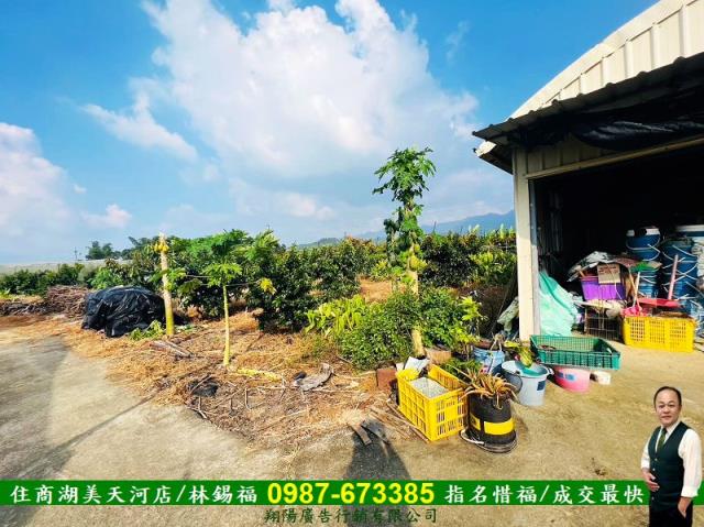 台南玉井農地-5