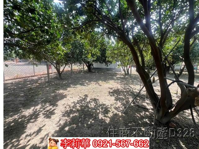 台南麻豆農地-11