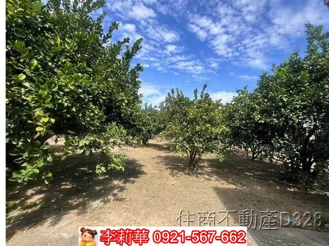 台南麻豆農地-12