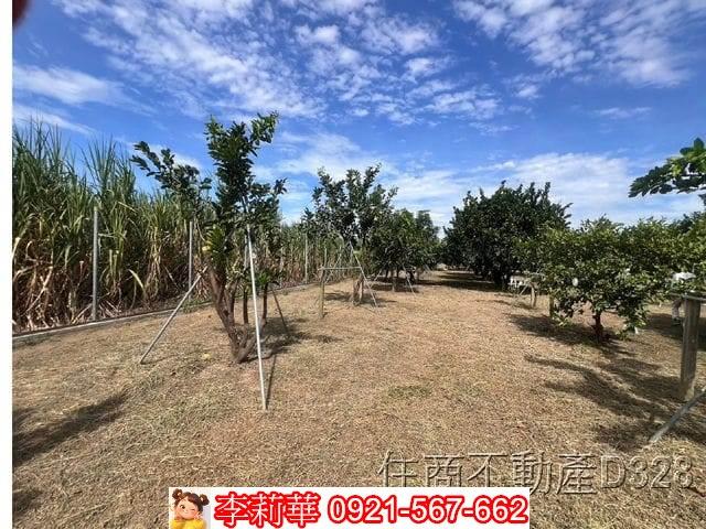 台南麻豆農地-13